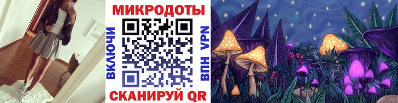 Псилоцибиновые грибы Psilocybe  Назарово 